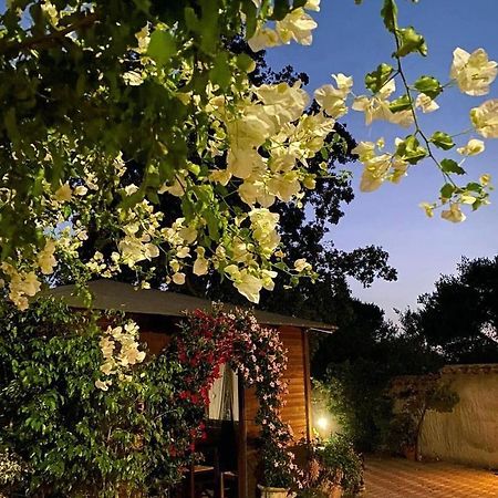 B&B Il Girasole SantʼAnna Arresi Exterior foto