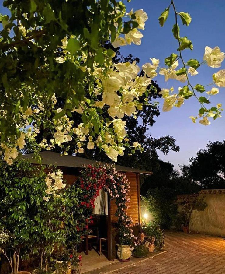 B&B Il Girasole SantʼAnna Arresi Exterior foto
